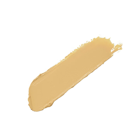 Fenty Beauty Match Stix Correcting Skinstick 7.1g (Various Shades)