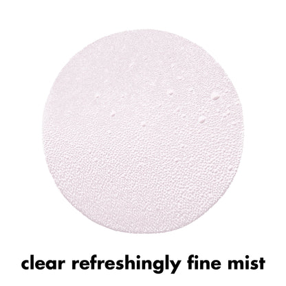 E.l.f. Cosmetics Power Grip Rosé Setting Spray