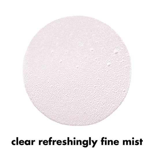 E.l.f. Cosmetics Power Grip Rosé Setting Spray