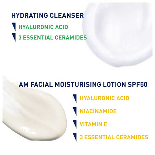 Cleanse And Moisturise Bundle by CeraVe