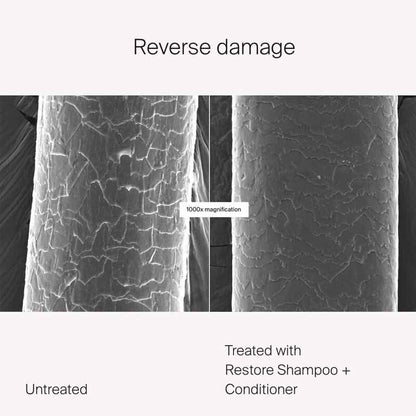 Restore Shampoo by Living Proof