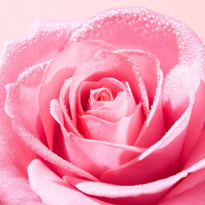 Very Rose Soothing Shower Gel by NUXE
