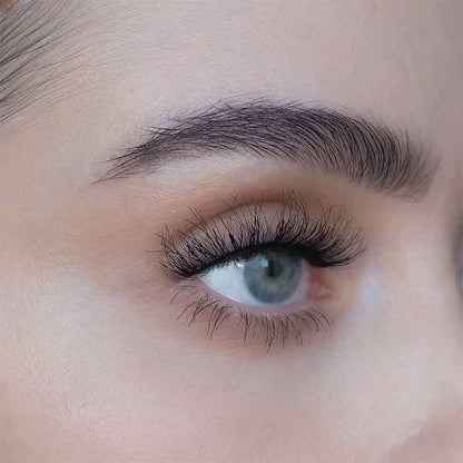 Ash 3D Lashes by SWEED