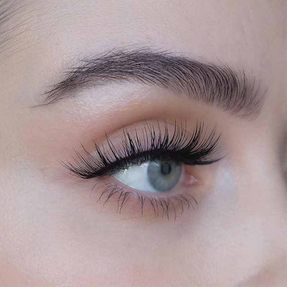 North 3D Lash by SWEED
